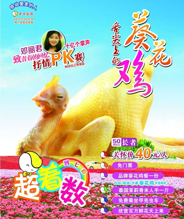 廣州百萬(wàn)葵園葵花雞